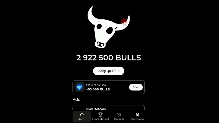 BULLS 𓃓