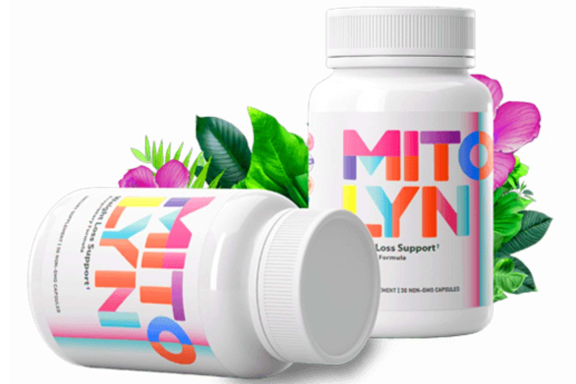 mitolyn supplement