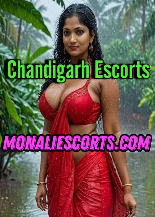 Chandigarh Call Girls