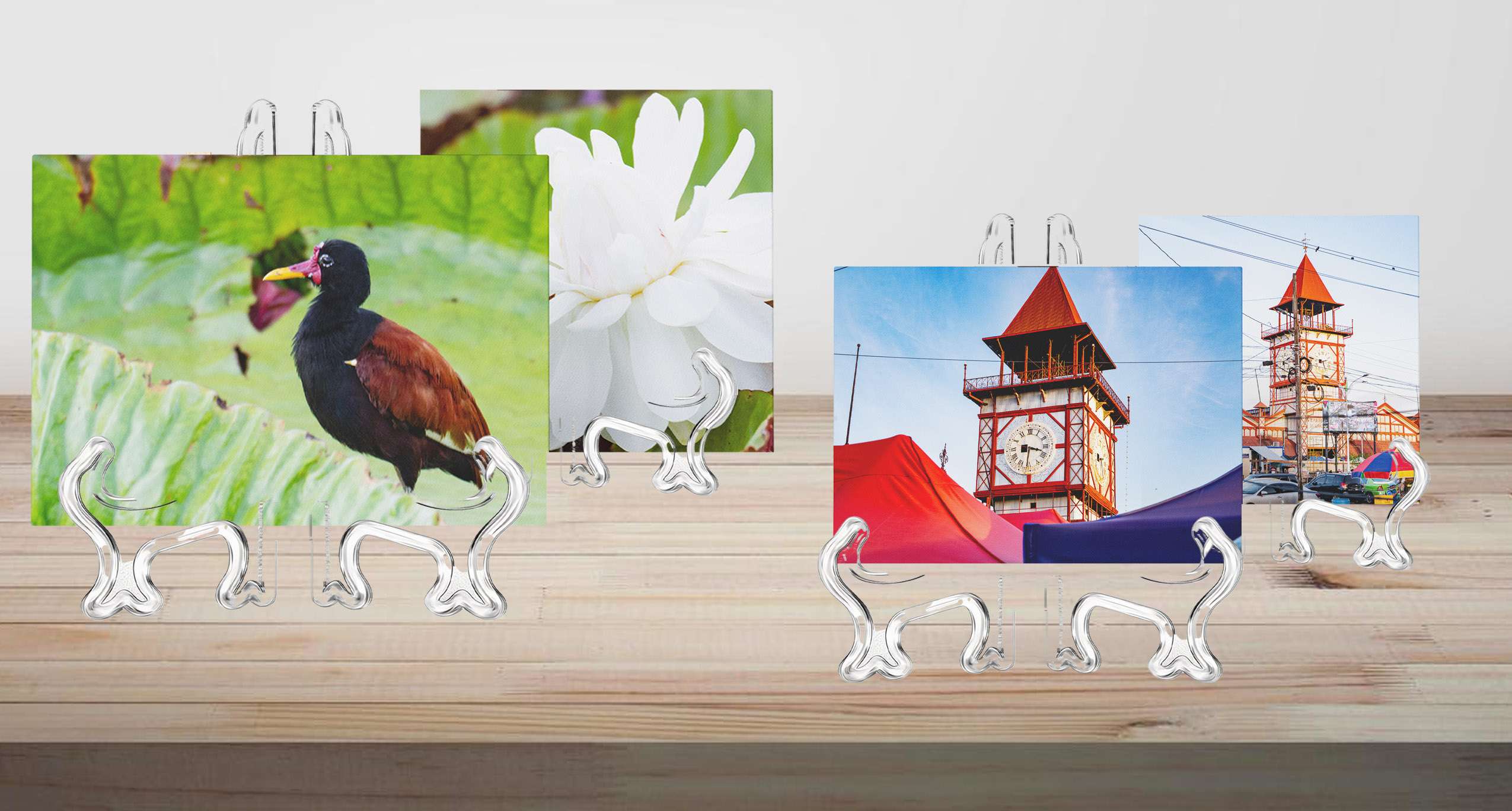 Mobirise Website Builder