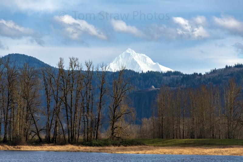 Mt Hood