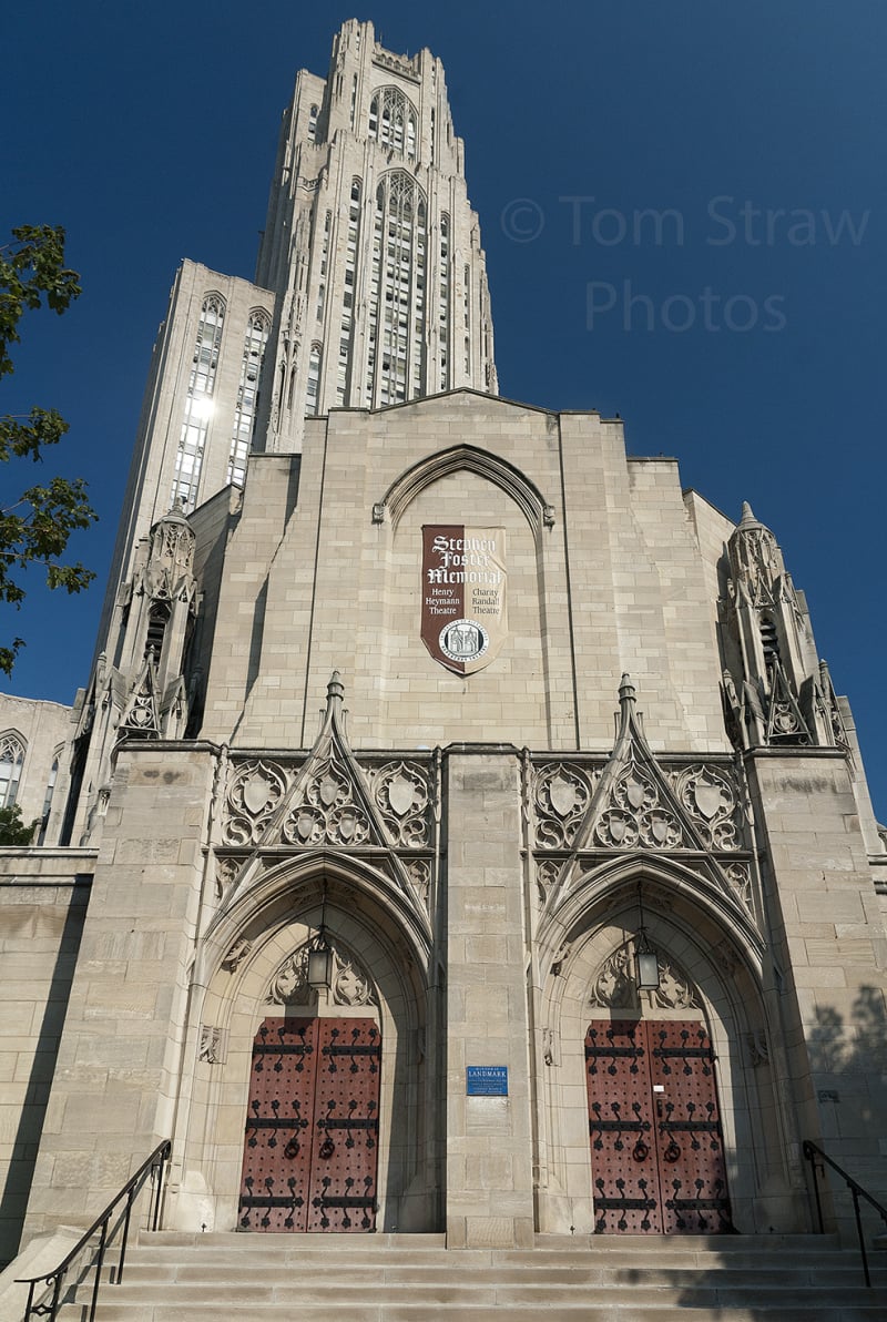 Cathedral 1