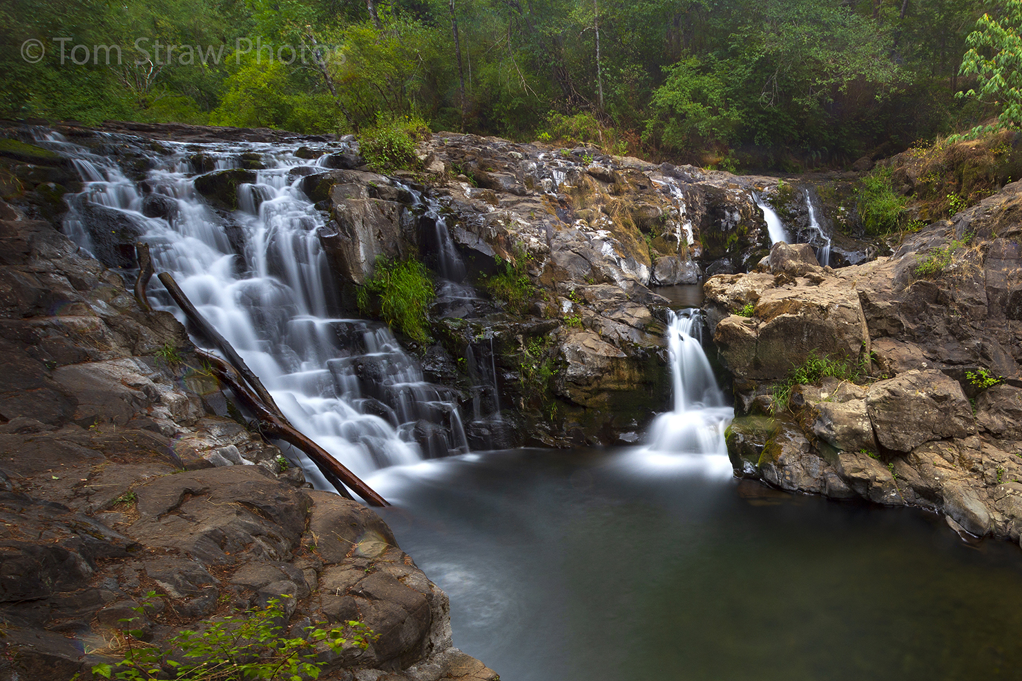 PNW Waterfall