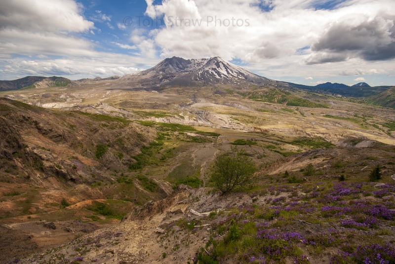 Mt St Helen