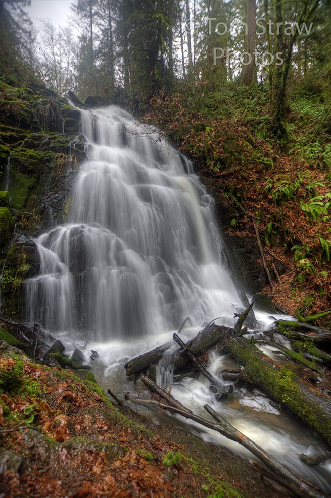 PNW Falls