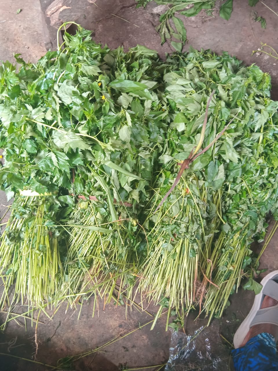 Mama Garri  - Nigerian  Ewedu