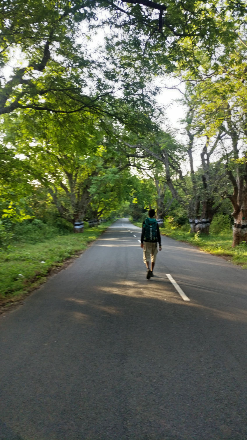 Mobirise