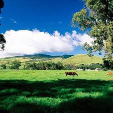 Kamuela, Waimea Hawaii