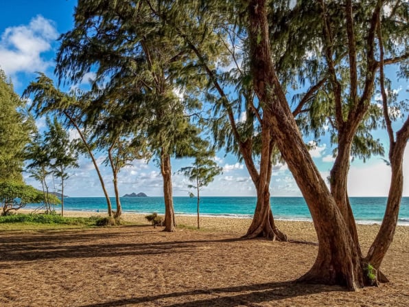 Waimanalo Beach Park
