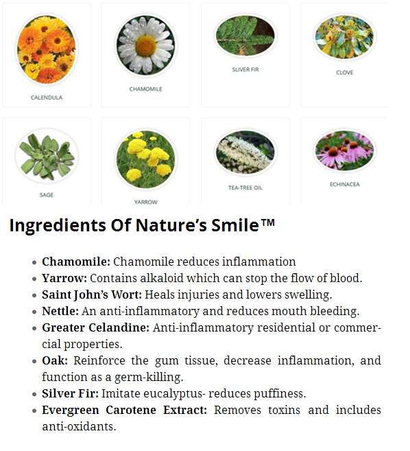 How Does Nature’s Smile™ Work?