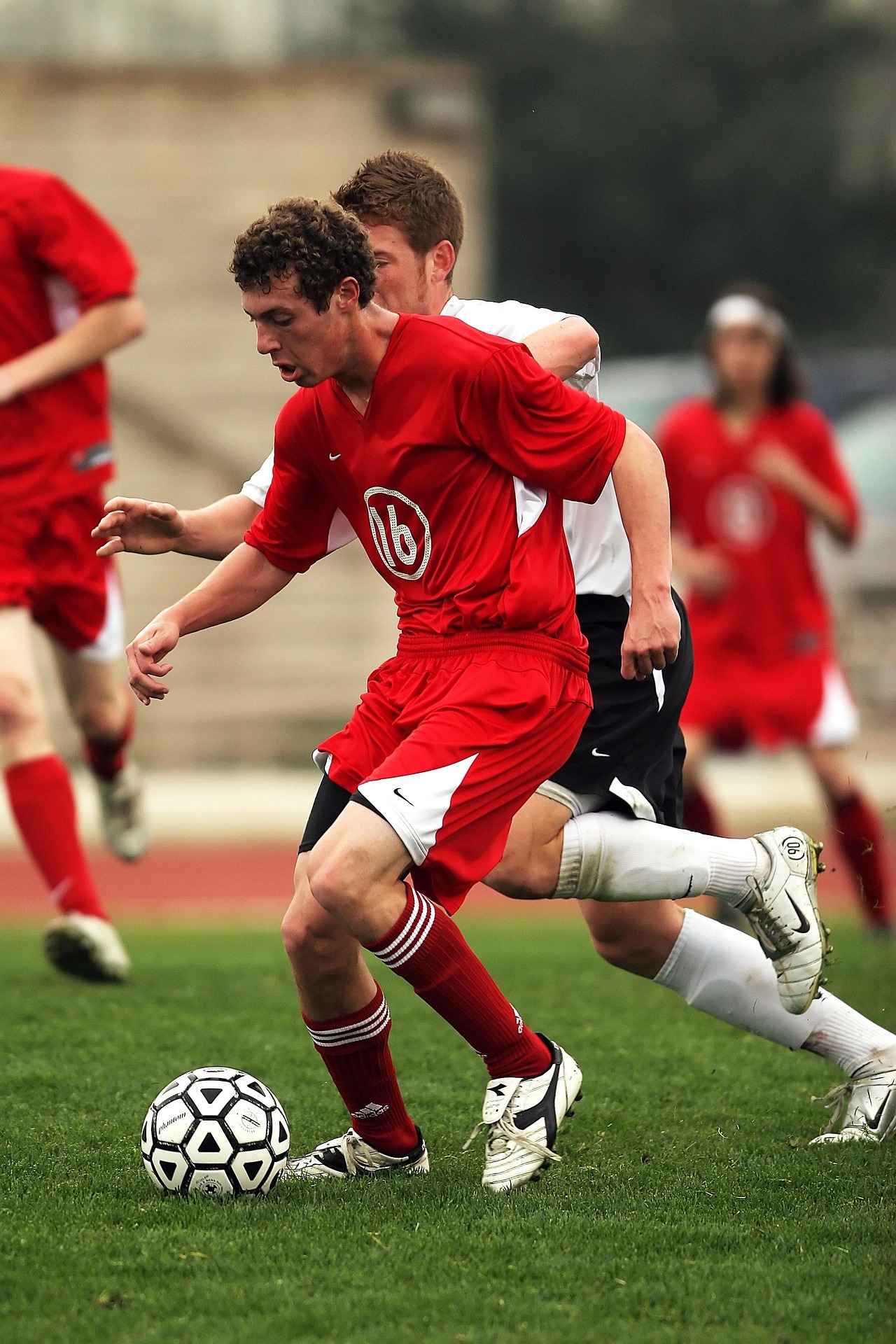 Mobirise Website Builder