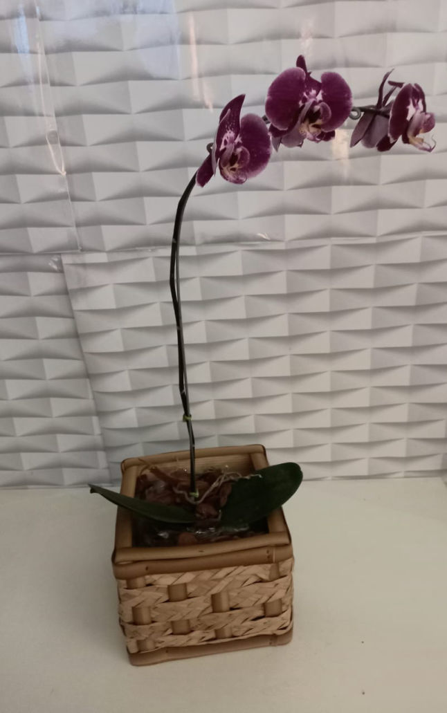 arranjos florais Cris Boutique de Flores