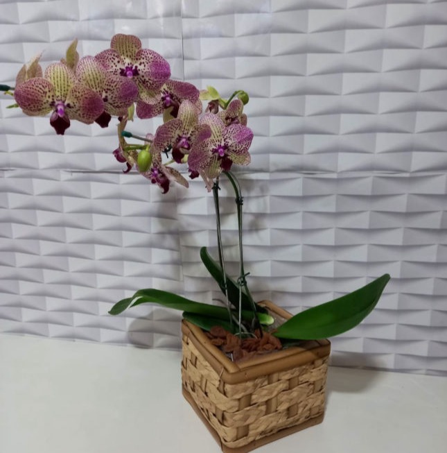arranjos florais Cris Boutique de Flores