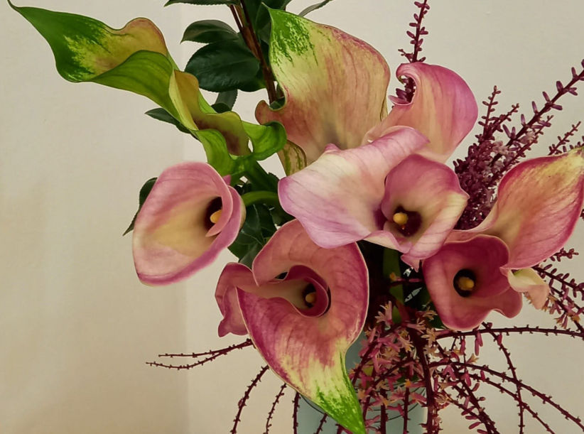 arranjo cris boutique de flores