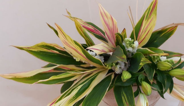 arranjos florais Cris Boutique de Flores