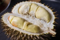 INDO DURIAN