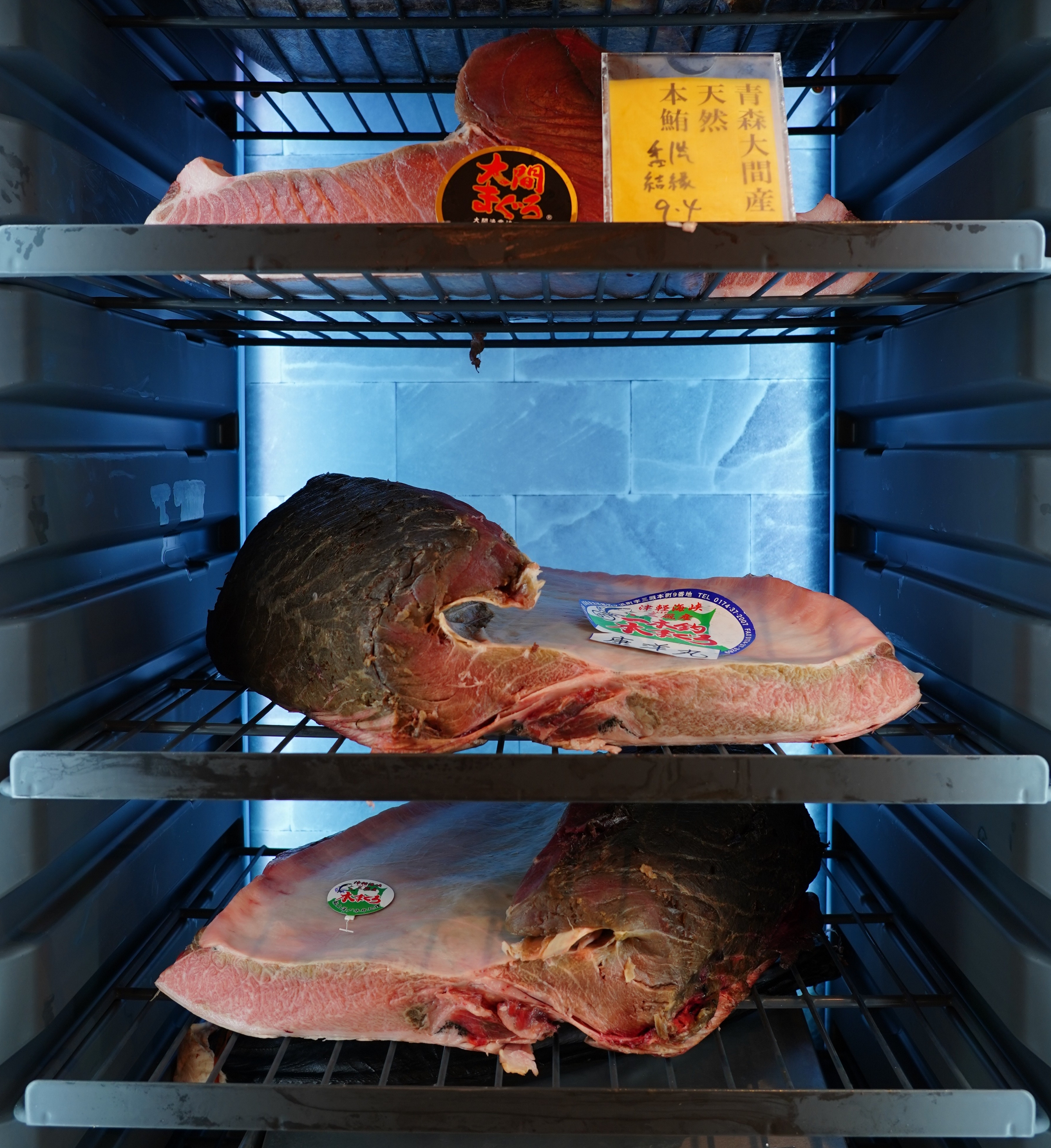 Aged Tuna