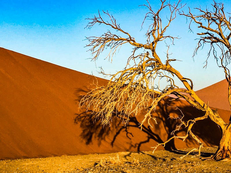 lomastro luciano fotografía