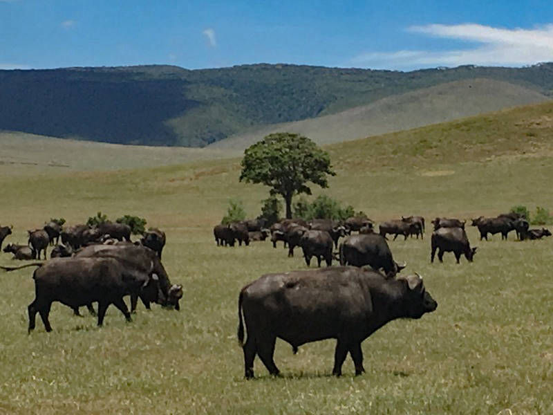 lomastro luciano fotografía