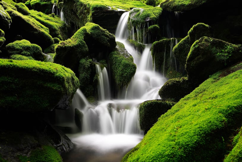 Eco-Friendly Cleaning: Water Conservation Nairobi Kenya