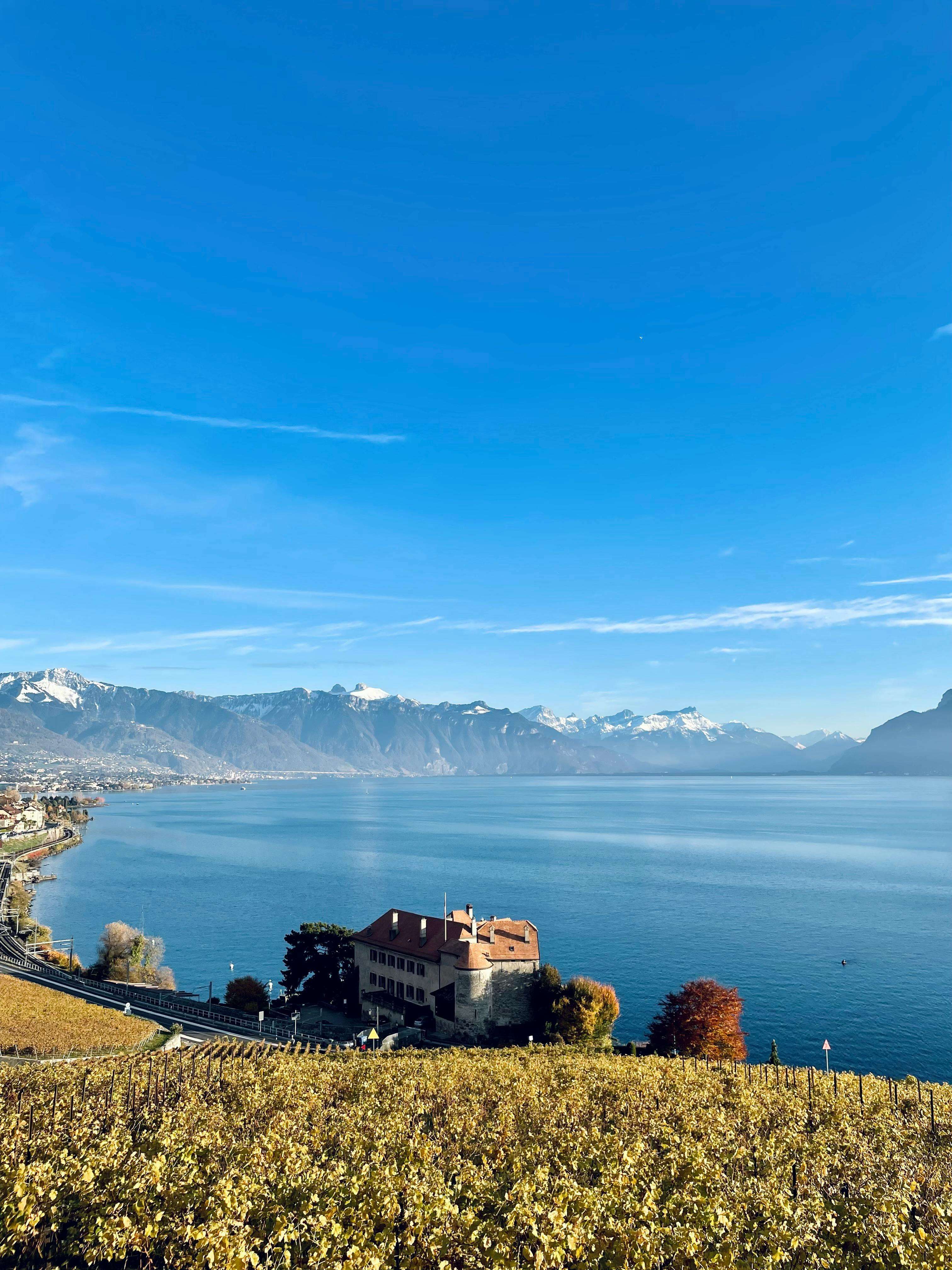 Lake Geneva and Swiss vineyards aerial view representing boarding school regions in Switzerland