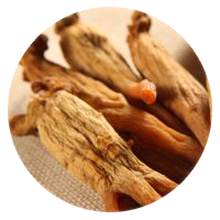 Asian Red Ginseng