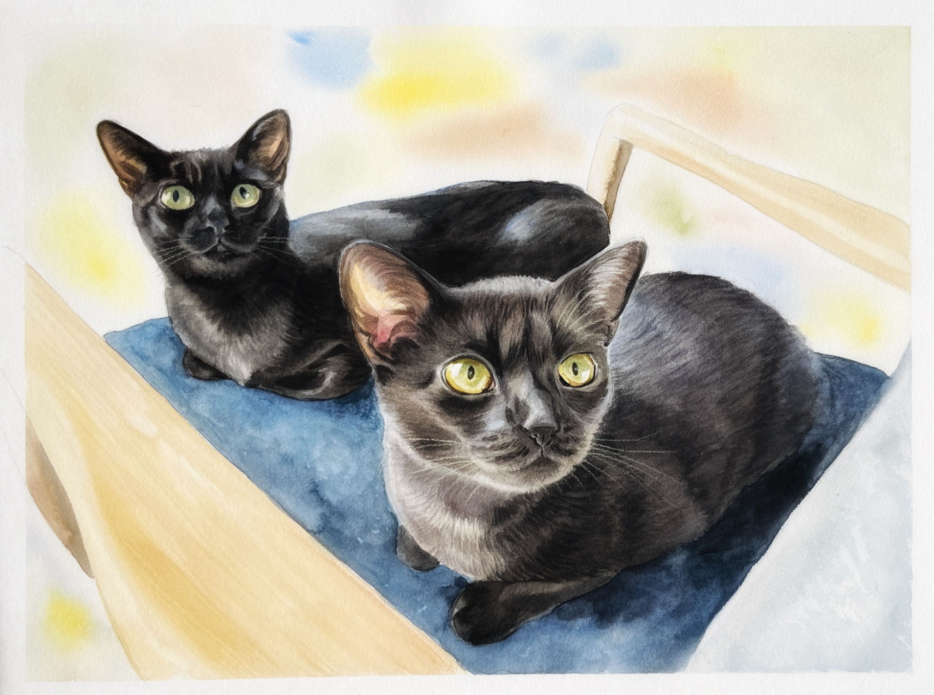 cat portrait in progress watercolour