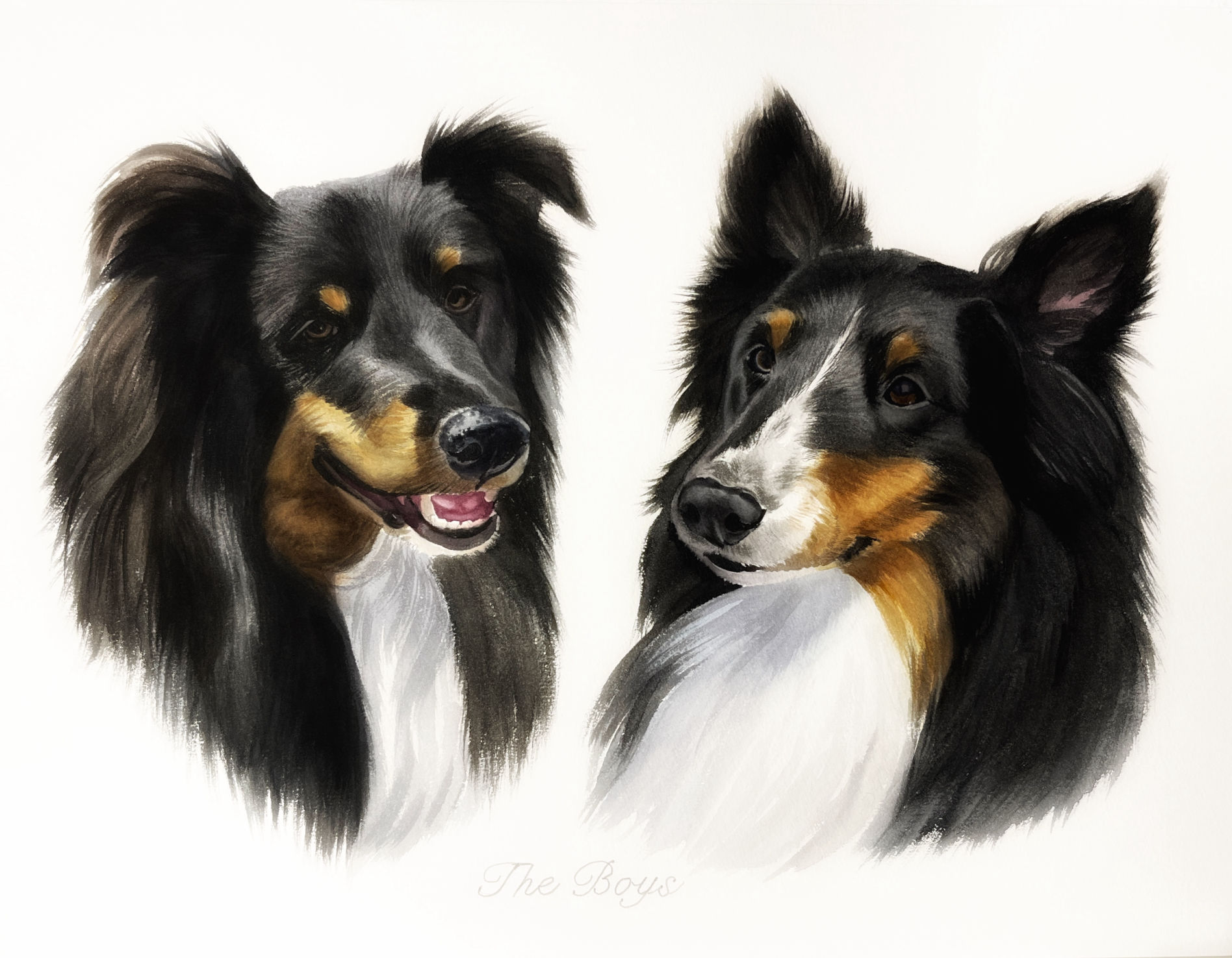 pet portrait dog watercolour golden retriever