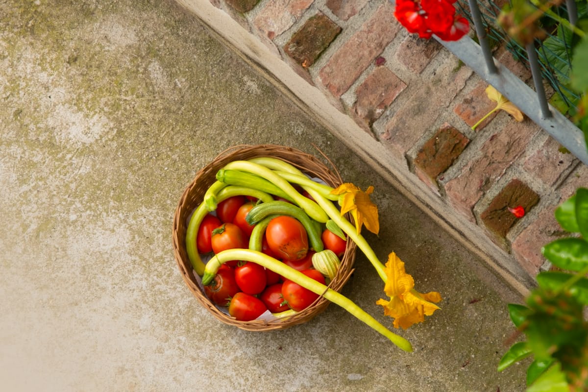 Catering mediterrâneo no Recreio dos Bandeirantes – CHEF&CIA