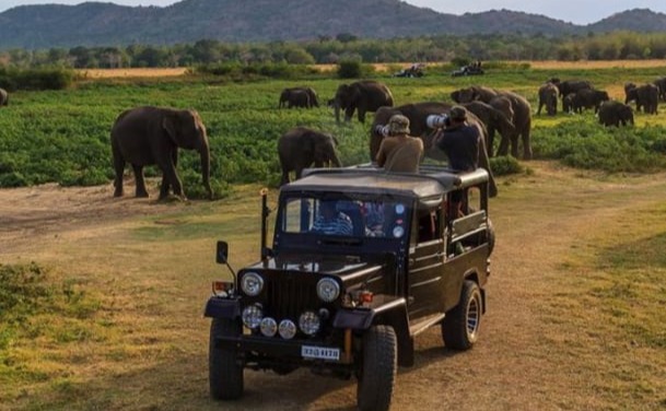 Mobirise Website Builder