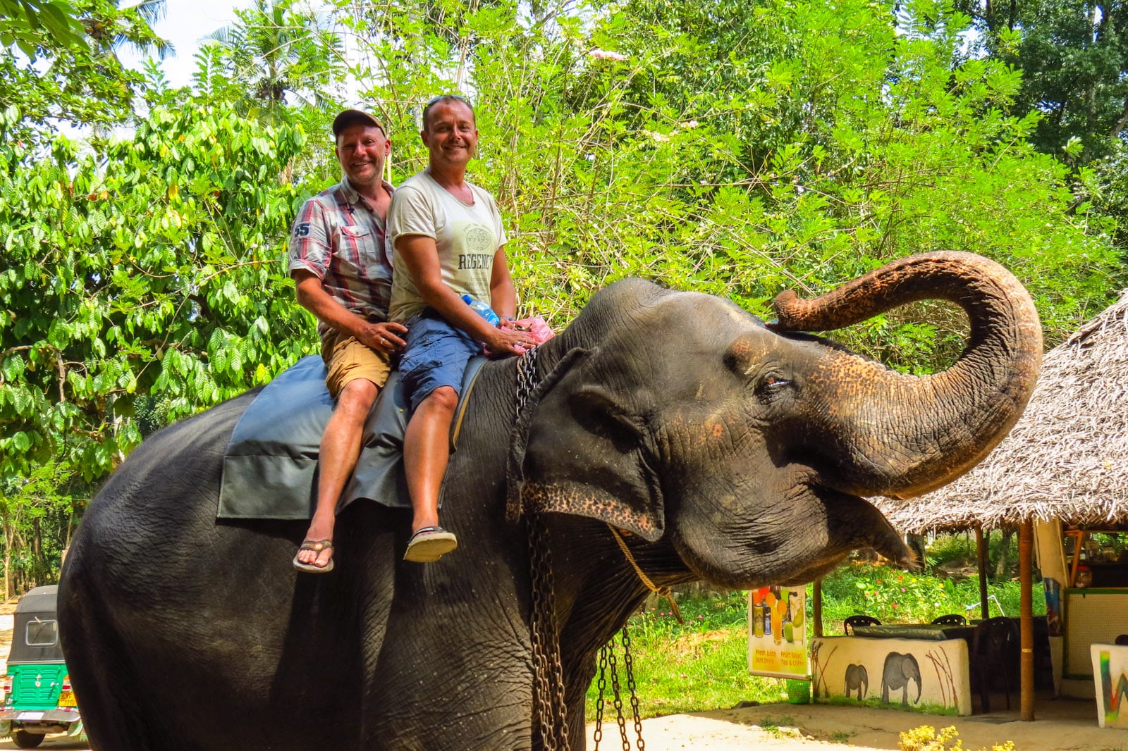 Mobirise Website Builder