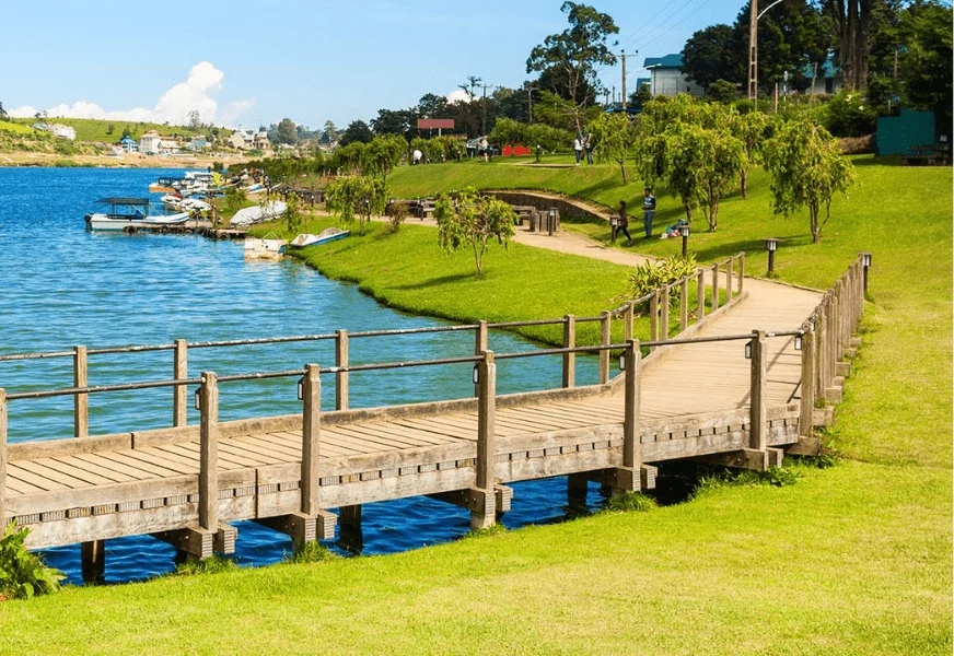 Mobirise Website Builder