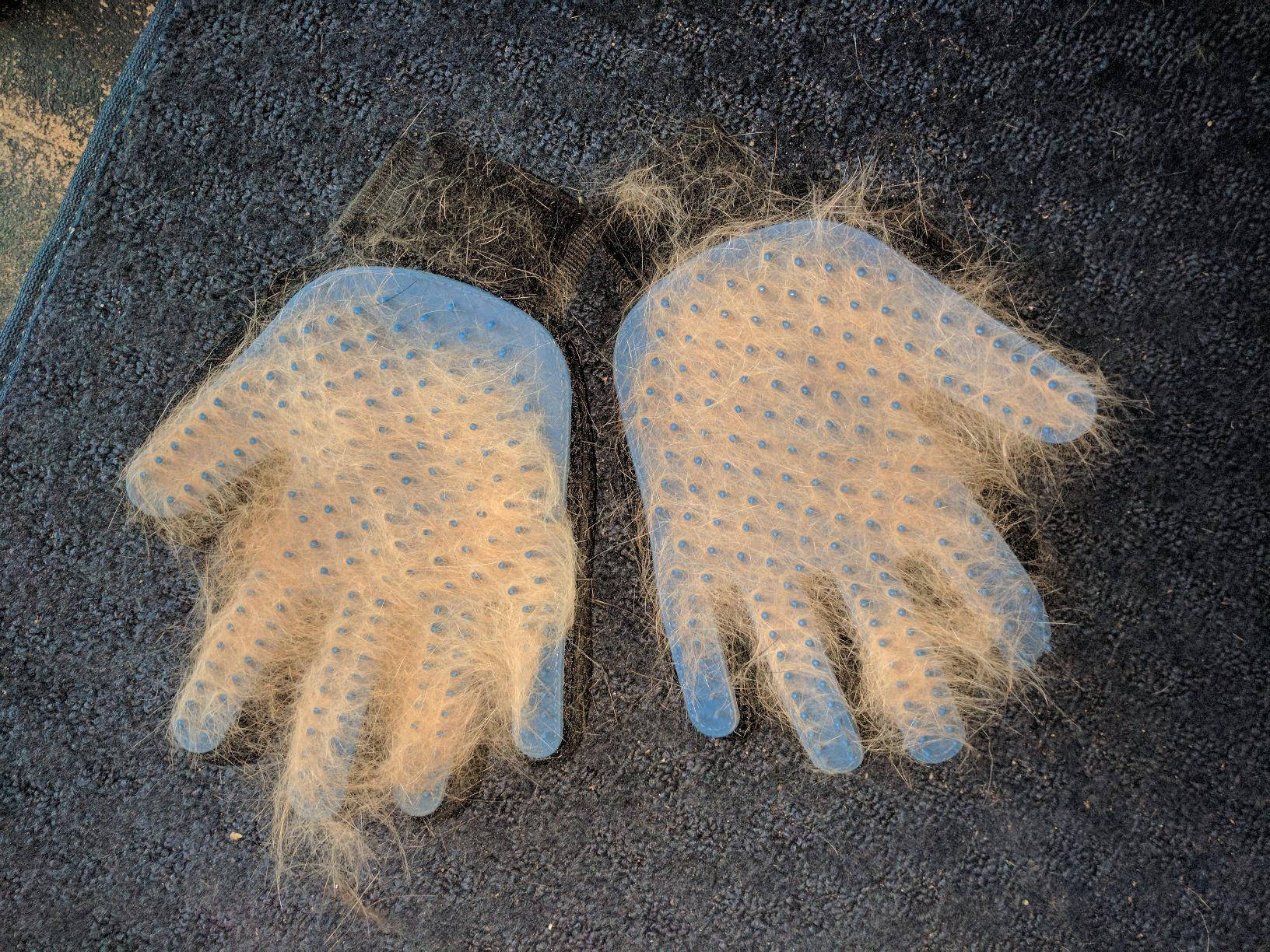 Перчатка для чистки ковров от шерсти