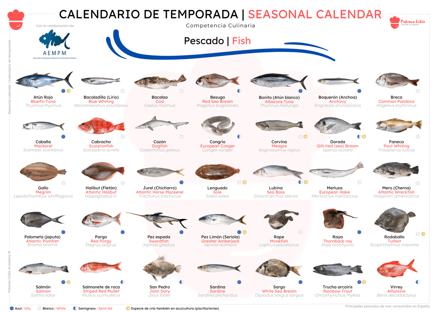 Pescados y Mariscos.  Calendarios de Temporada
