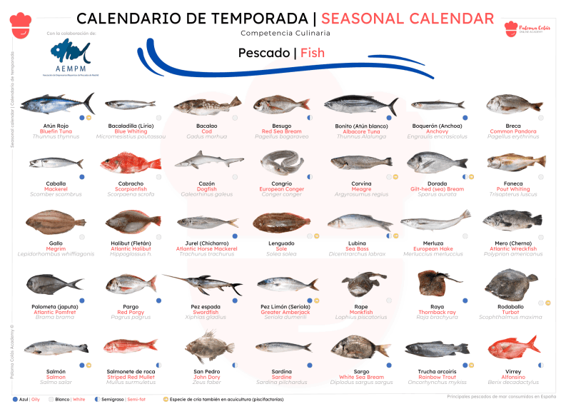 Calendario de Temporada de Pescados - Paloma Colás Academy (portada)