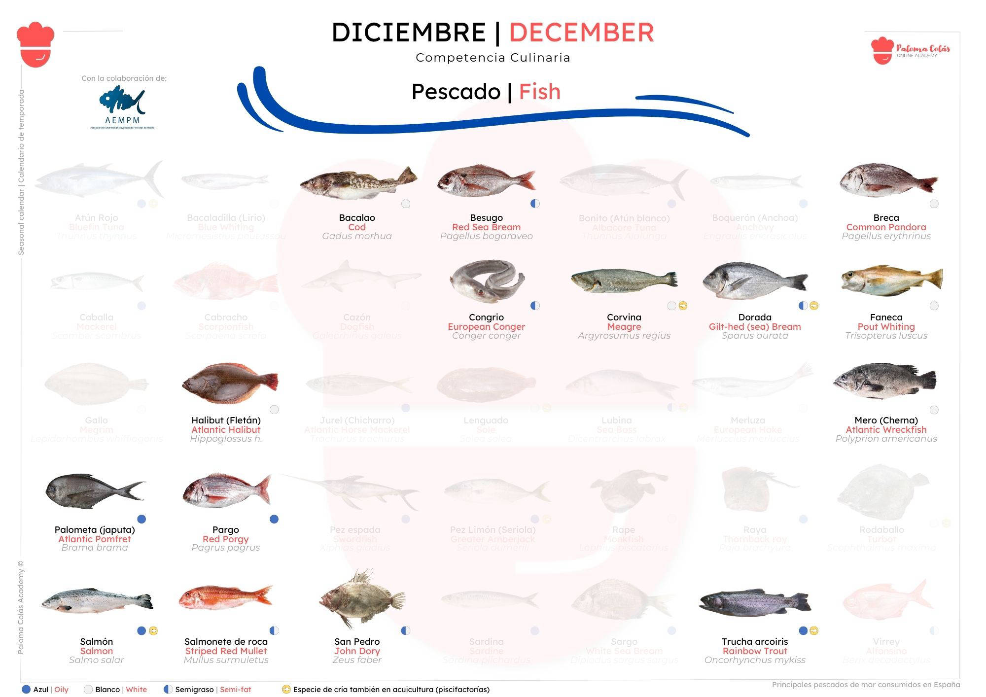 DICIEMBRE - Calendario de Temporada de Pescados - Paloma Colás Academy