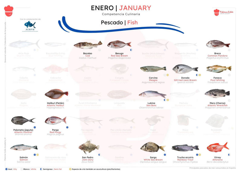 ENERO - Calendario de Temporada de Pescados - Paloma Colás Academy