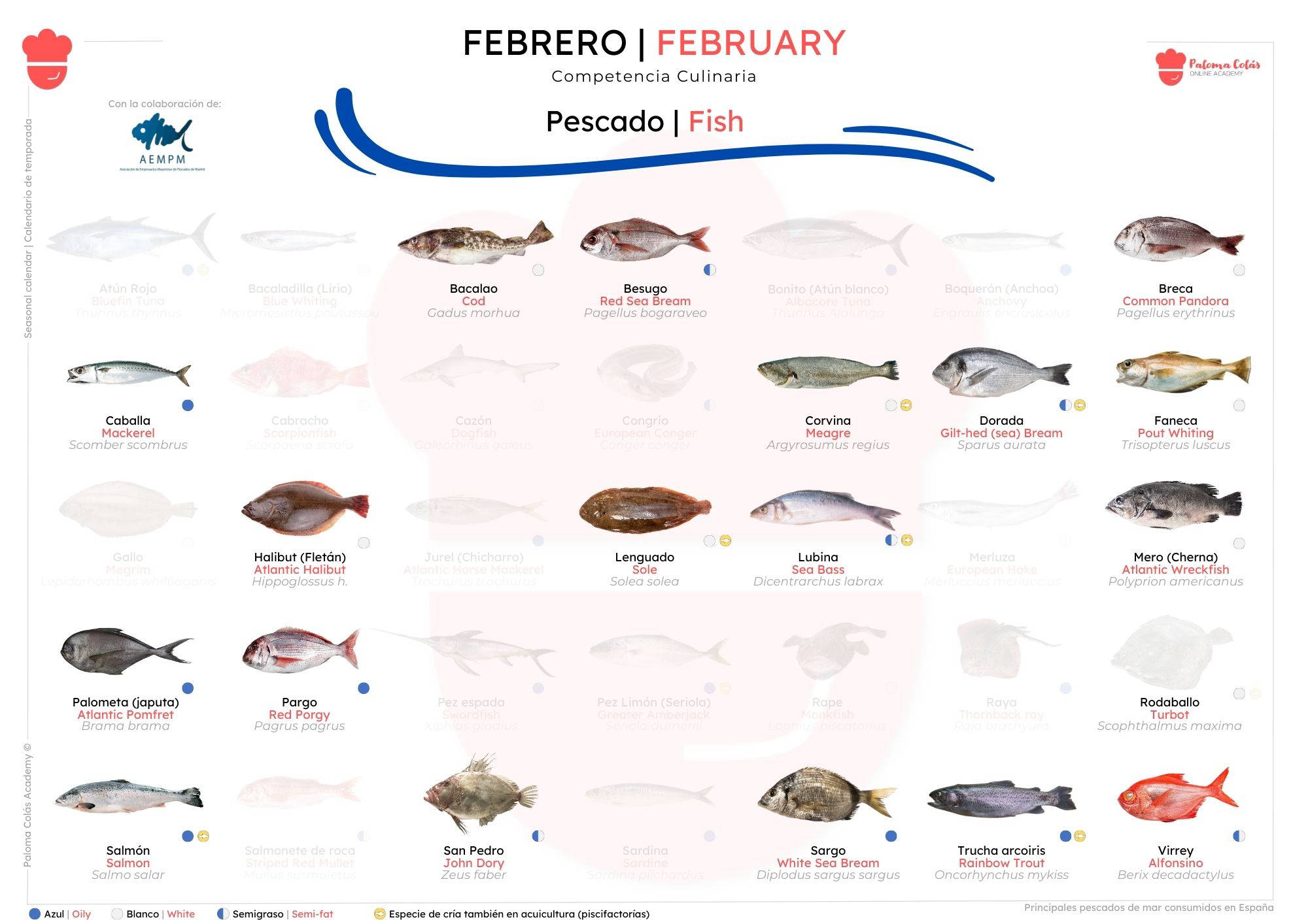 FEBRERO - Calendario de Temporada de Pescados - Paloma Colás Academy