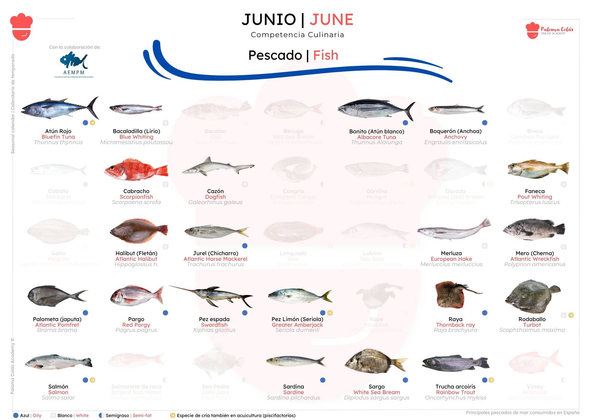 JUNIO - Calendario de Temporada de Pescados - Paloma Colás Academy