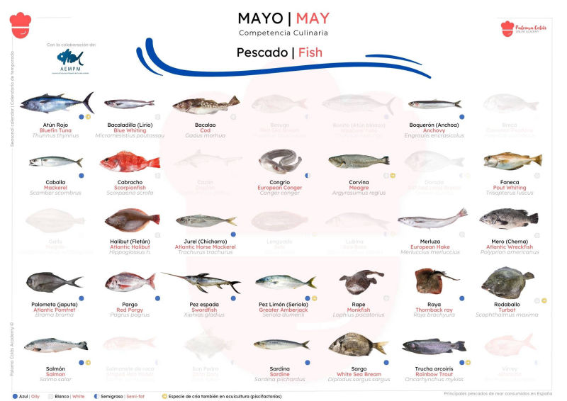 MAYO - Calendario de Temporada de Pescados - Paloma Colás Academy