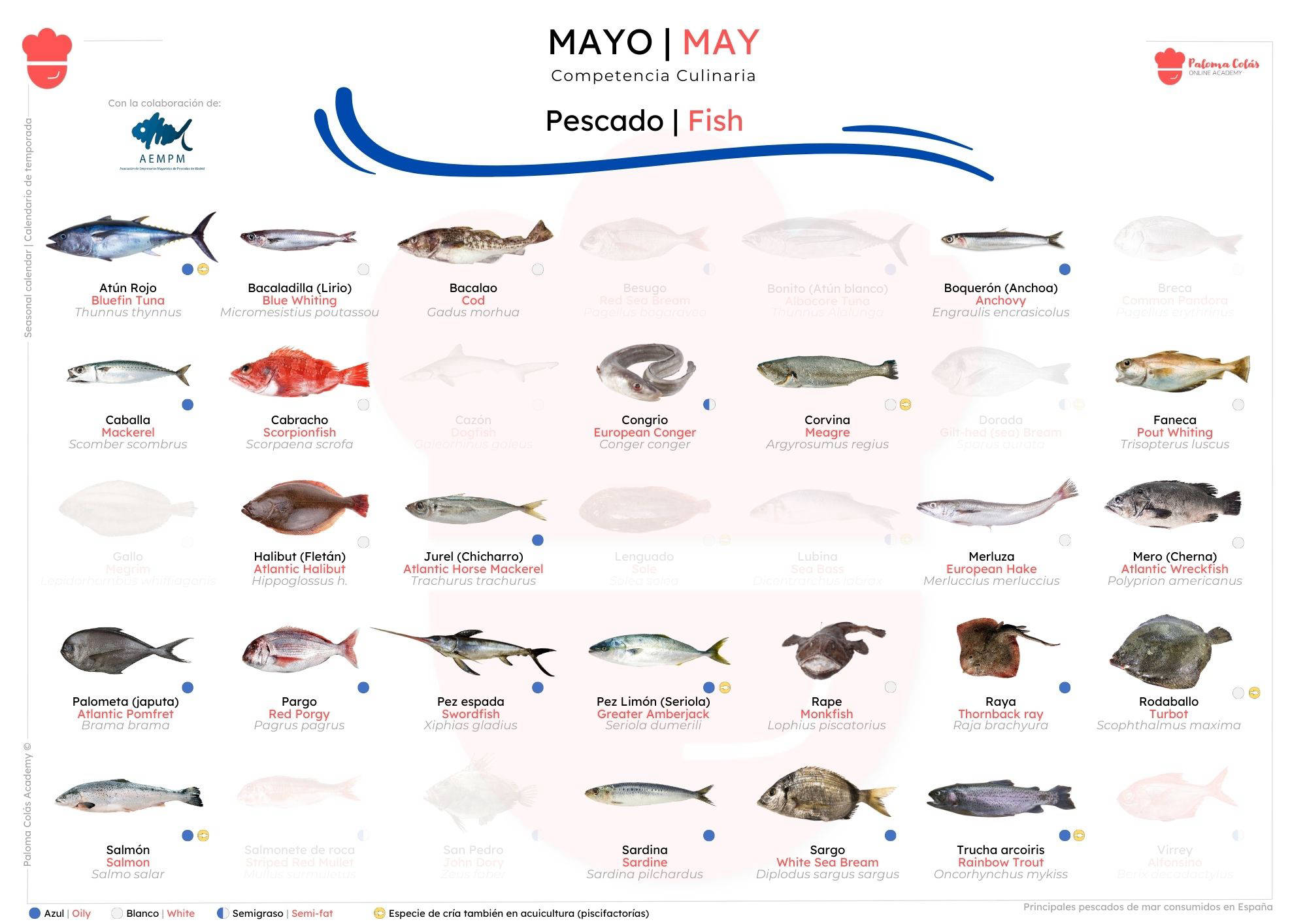 MAYO - Calendario de Temporada de Pescados - Paloma Colás Academy