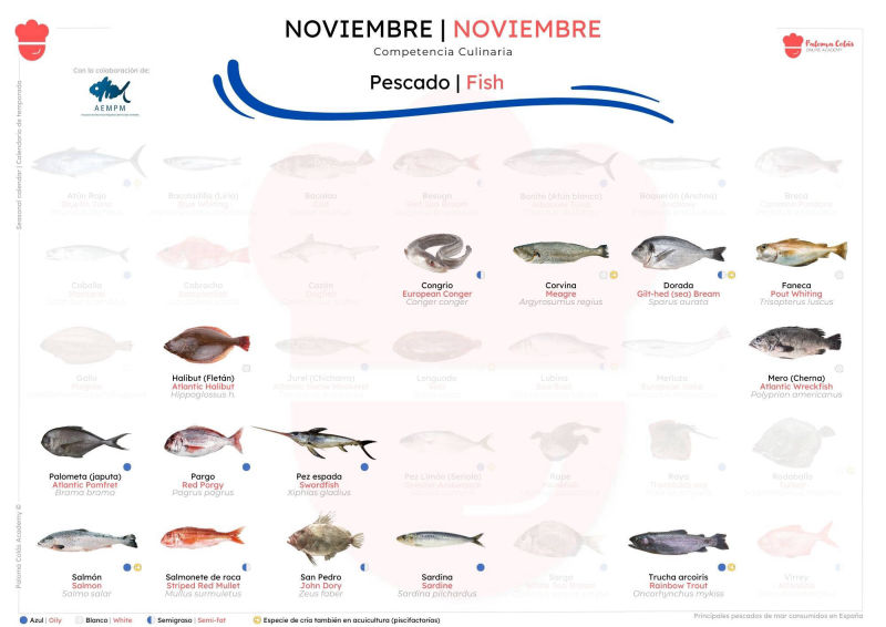 NOVIEMBRE - Calendario de Temporada de Pescados - Paloma Colás Academy