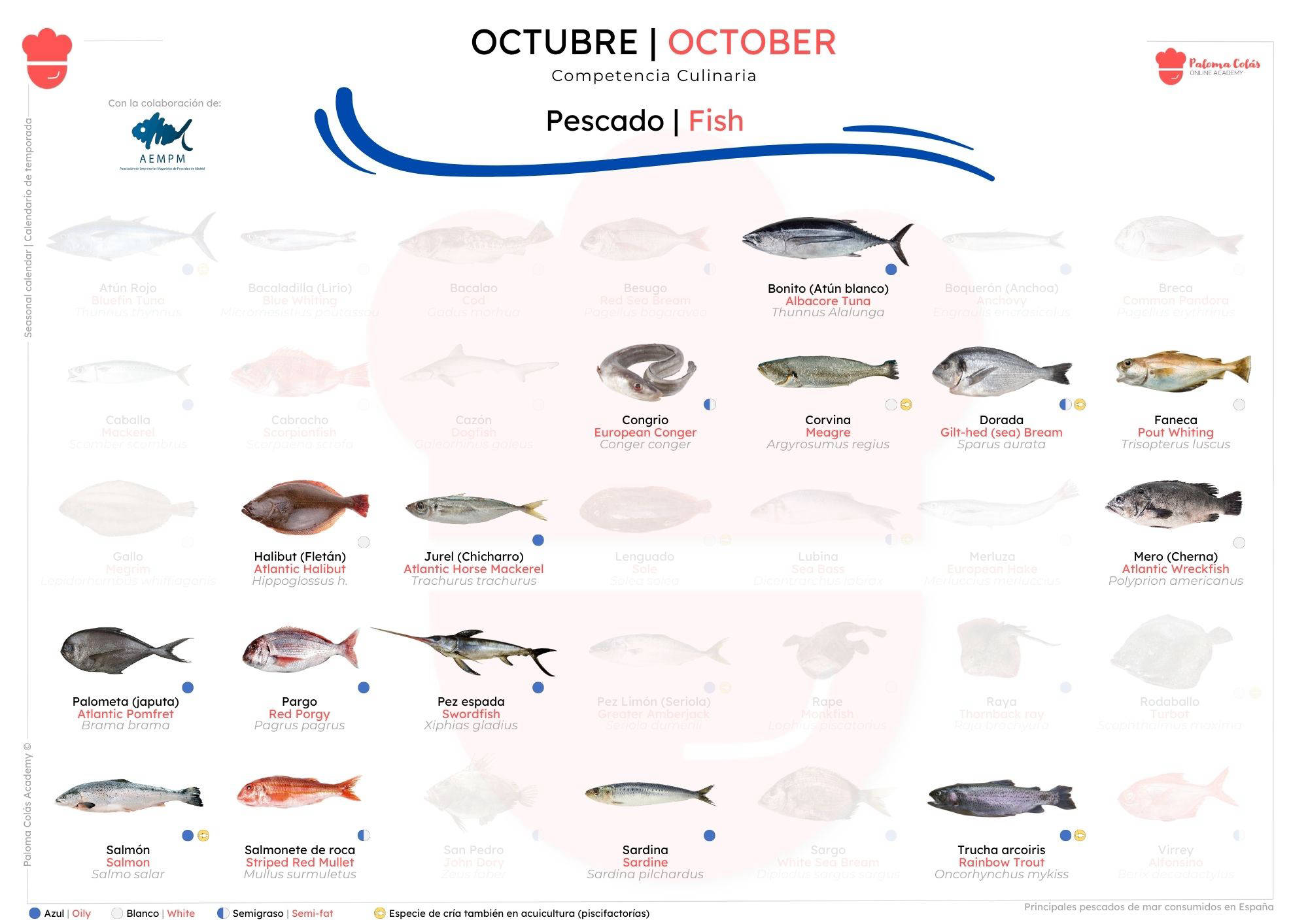 OCTUBRE - Calendario de Temporada de Pescados - Paloma Colás Academy