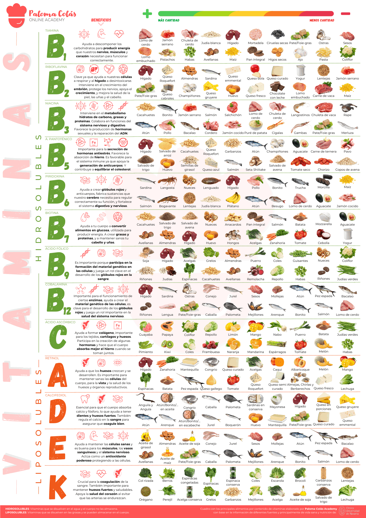 Infografía sobre las vitaminas que muestra 20 alimentos por vitamina con mayor concentración