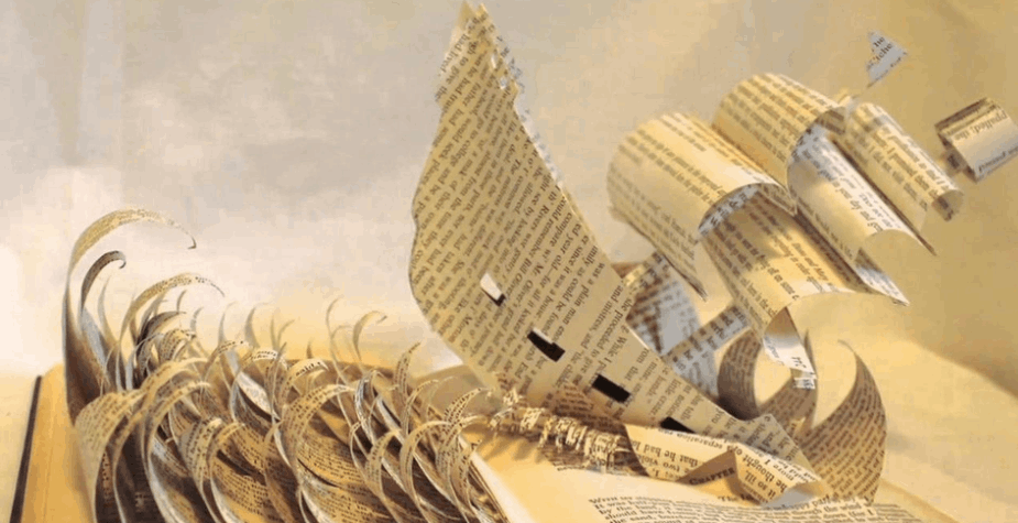 Spiral of Books