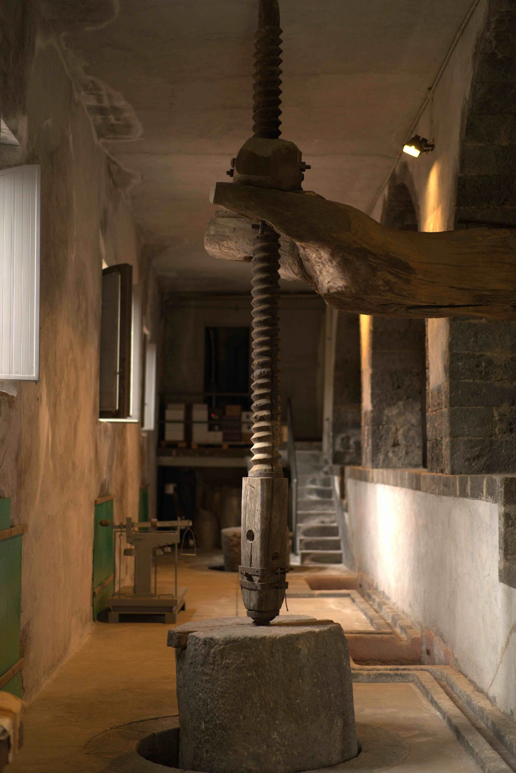 Escursioni da Taormina in Light Suites