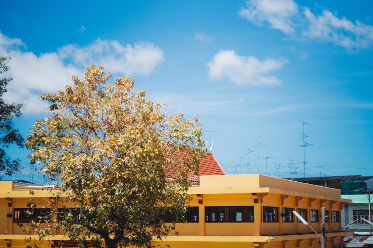 海角社区在线官网