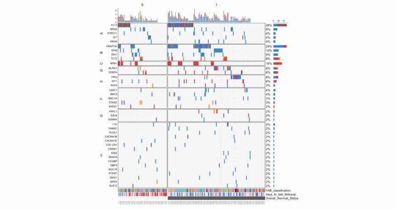 Oncoplot