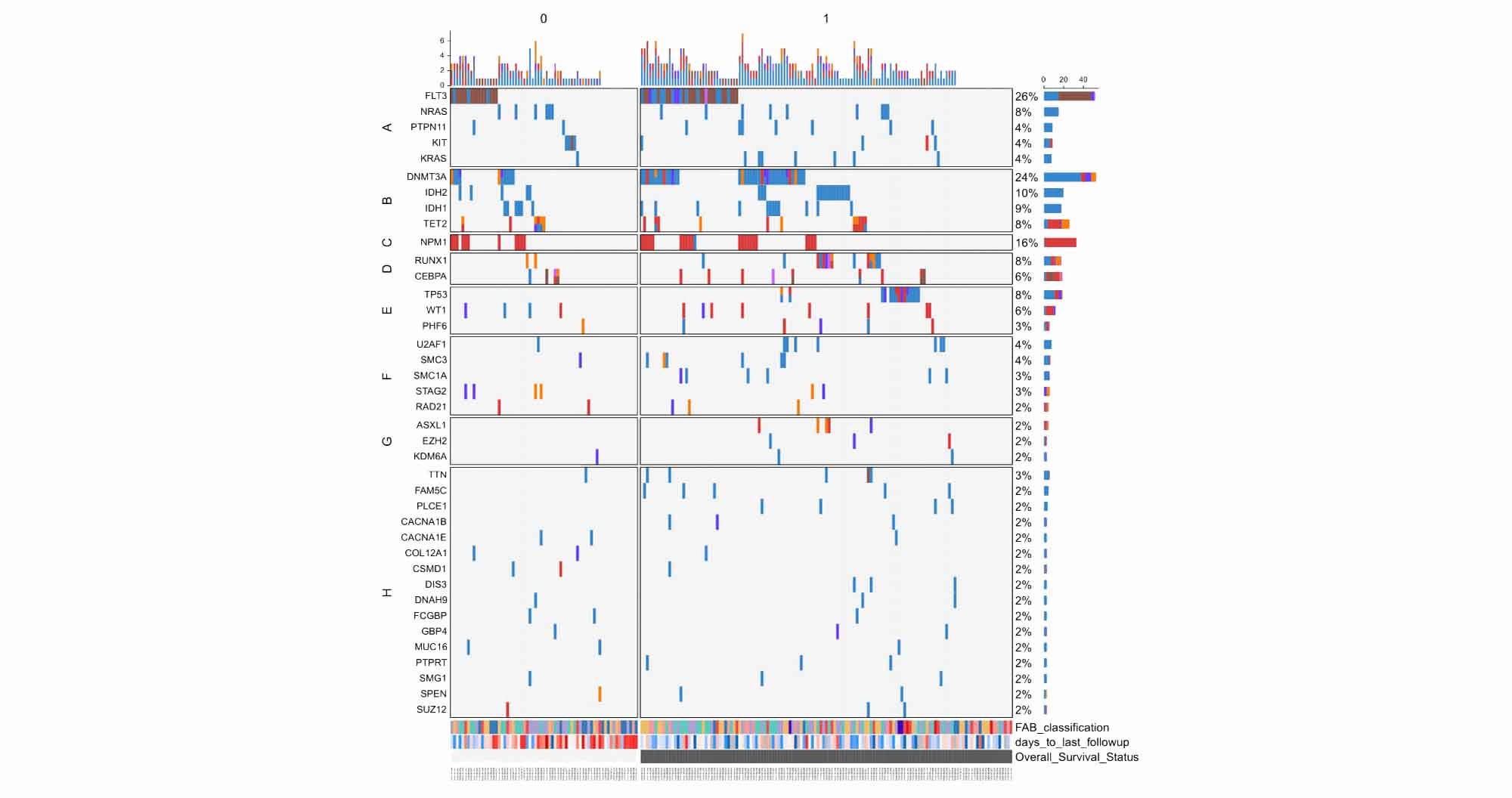 Oncoplot