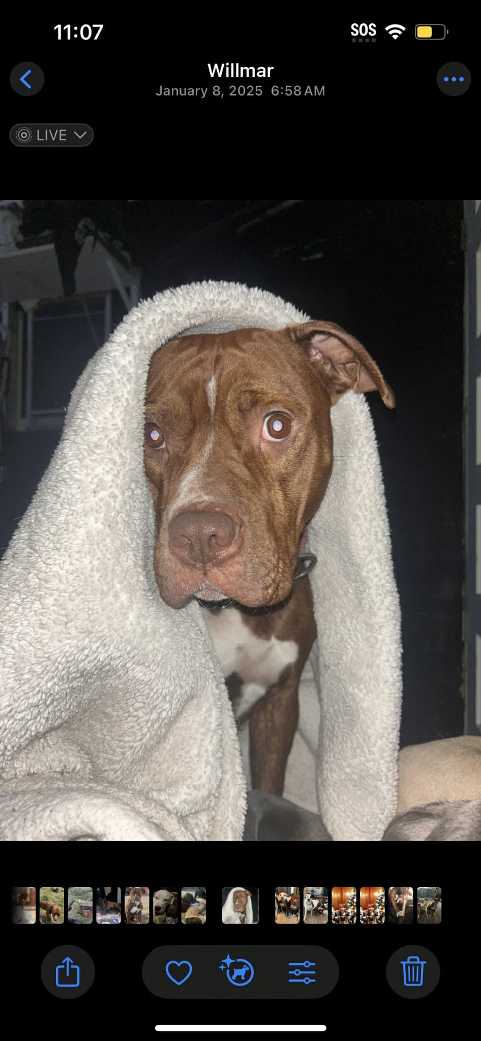 Mobirise Website Builder